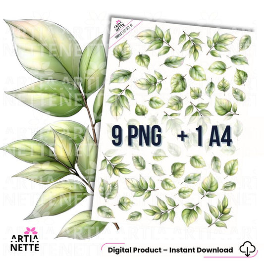 Simple Life SET 12 - Grafiki PNG i arkusz A4 - Zielone liście, listki, dodatki botaniczne