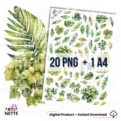 Akwarelowe liście botaniczne – zielone ilustracje roślinne, kliparty PNG z przezroczystym tłem, arkusz A4 do druku