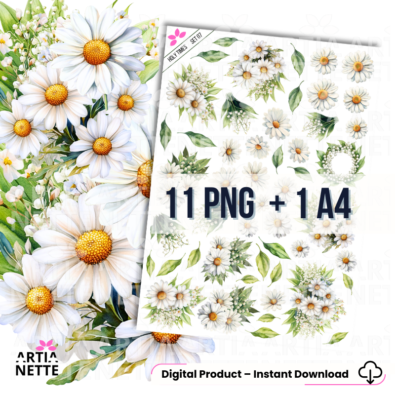 Zestaw akwarelowych margaretek PNG do scrapbookingu i druku A4, białe kwiaty z żółtymi środkami i zielonymi liśćmi na przezroczystym tle