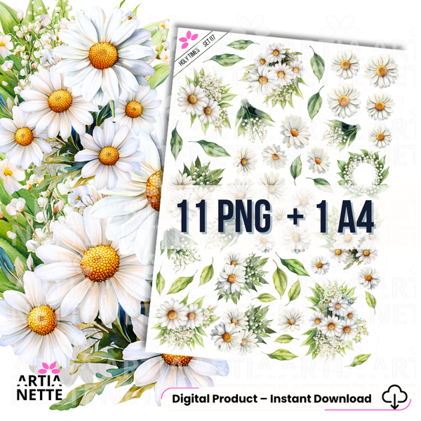 Zestaw akwarelowych margaretek PNG do scrapbookingu i druku A4, białe kwiaty z żółtymi środkami i zielonymi liśćmi na przezroczystym tle