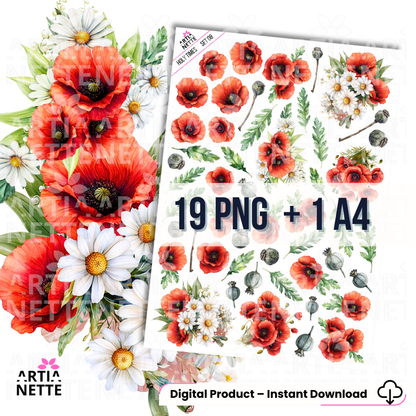 Holy Times – Set 08, akwarelowe maki i margaretki, zestaw grafik PNG na przezroczystym tle do scrapbookingu i druku A4