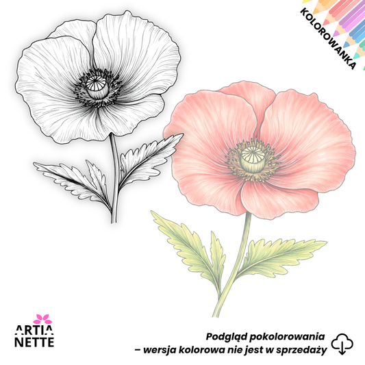 Mak – kolorowanka czarno-biała w formacie PNG, realistyczna ilustracja kwiatu
