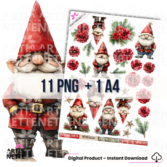 1 Clipartów PNG + 1 A4 "Scarlet Christmas Set 01". Akwarelowe Gnomy w szkarłatnych czapkach, czerwone kwiaty i gałązki. Napisy: "Gnom na Szczęście" i "Gnomowe Święta".