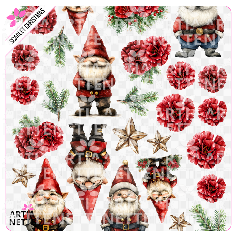 1 Clipartów PNG + 1 A4 "Scarlet Christmas Set 01". Akwarelowe Gnomy w szkarłatnych czapkach, czerwone kwiaty i gałązki. Napisy: "Gnom na Szczęście" i "Gnomowe Święta".